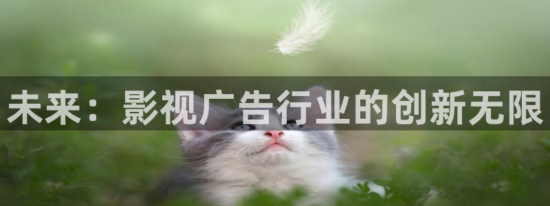 玖玖操視頻：未來：影視廣告行業(yè)的創(chuàng)新無限