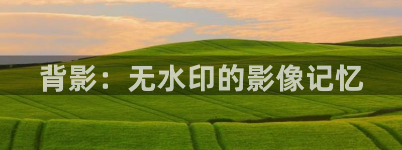 玖玖視頻免費在線觀看