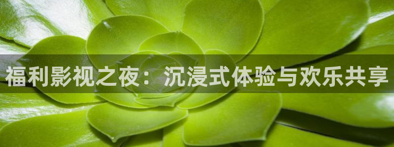 玖玖愛這里只有精品視頻